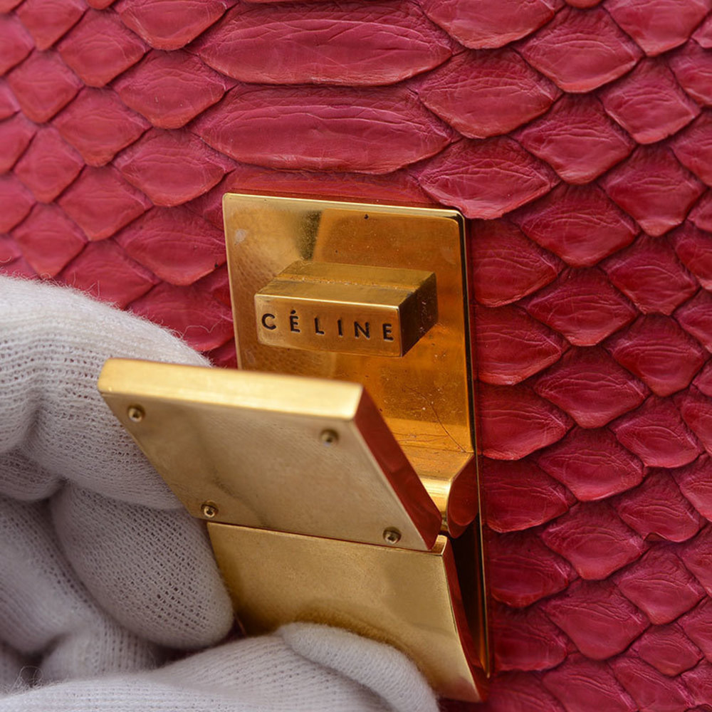 Celine Pink Shoulder Bag Python Leather - image 4